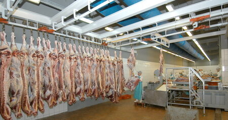 Дезинсекция на мясокомбинате в Щелково, цены на услуги