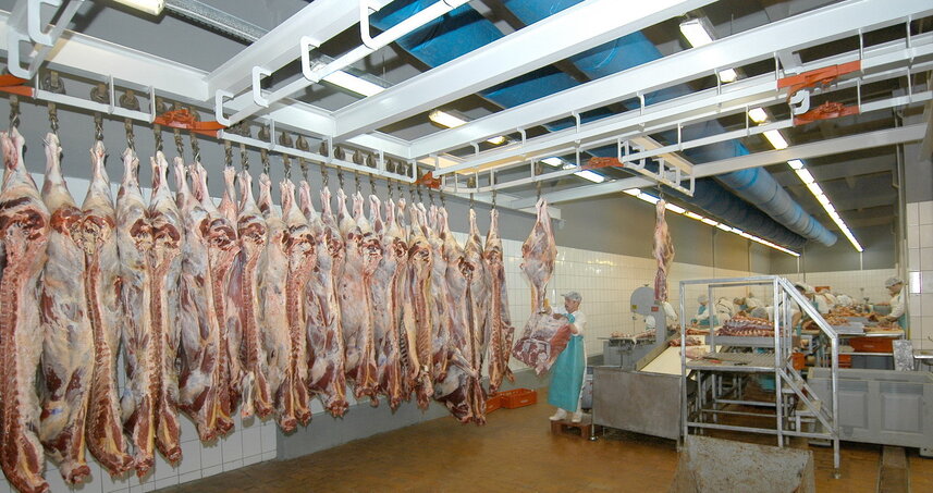 Дезинсекция на мясокомбинате в Щелково, цены на услуги